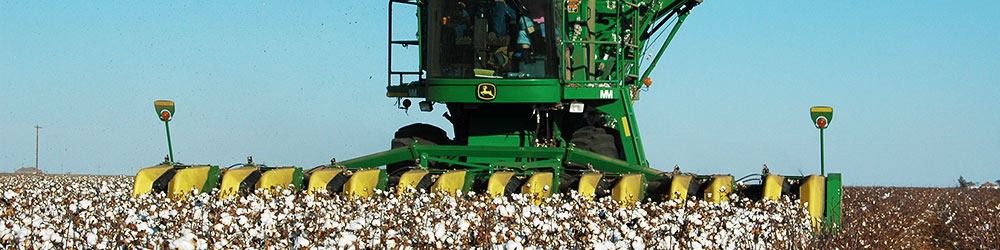 Agricultural Economics Agricultural Economics