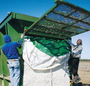 Agriculture - Builder (now)