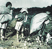 Agriculture - Builder (then)