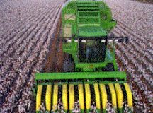 cottonseed-combine
