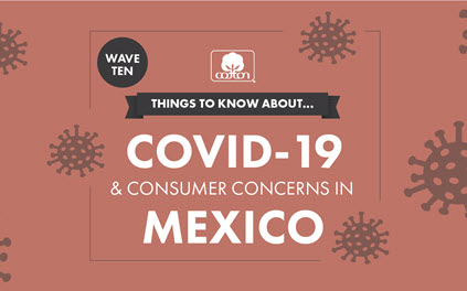 COVID-19 & Consumer Concerns in Mexico (Wave 10)