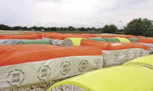 Figure 3 Conventional, half-length and round modules stored in a gin yard. Photo was taken after rainfall, and some modules have water collected on the cover surface.