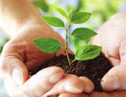 When Does Sustainability Matter