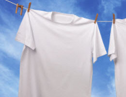 Sustainable Clothing